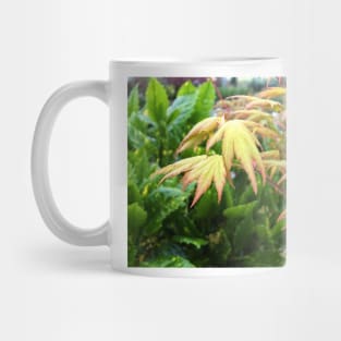 Yellow Maple Leaves Mug